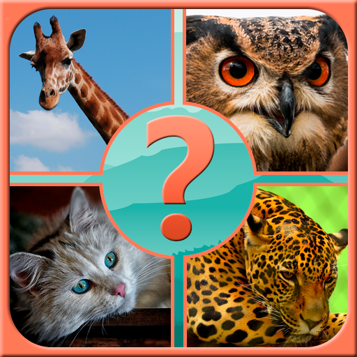 Guess the Animal