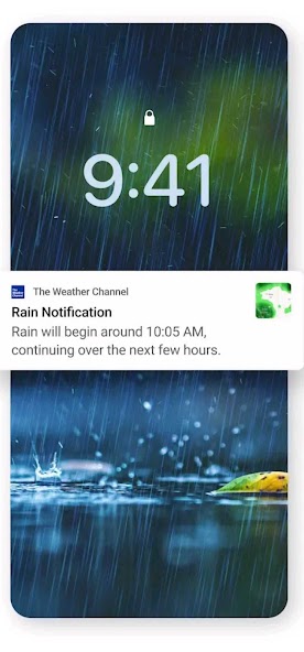 The Weather Channel