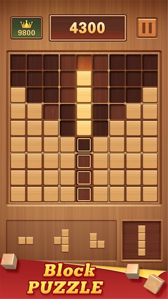 Wood Block 99 - Sudoku Puzzle