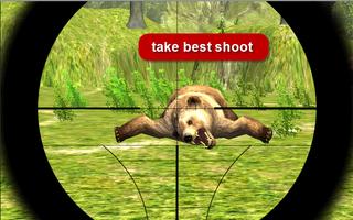 Bear Hunter Expert