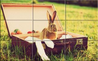 Puzzle - Cute bunnies