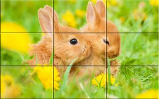 Puzzle - Cute bunnies