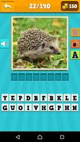 Animals Quiz