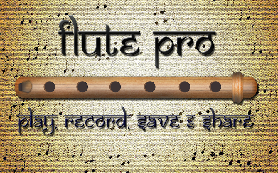 Flute Pro