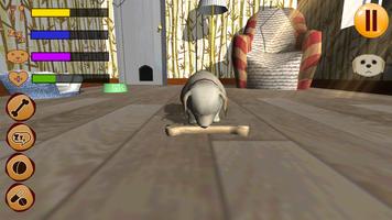 Virtual Pet 3D