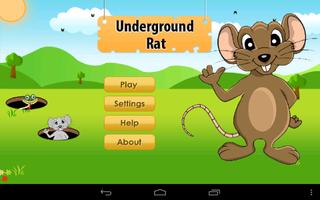 Underground Rat