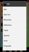 My file manager