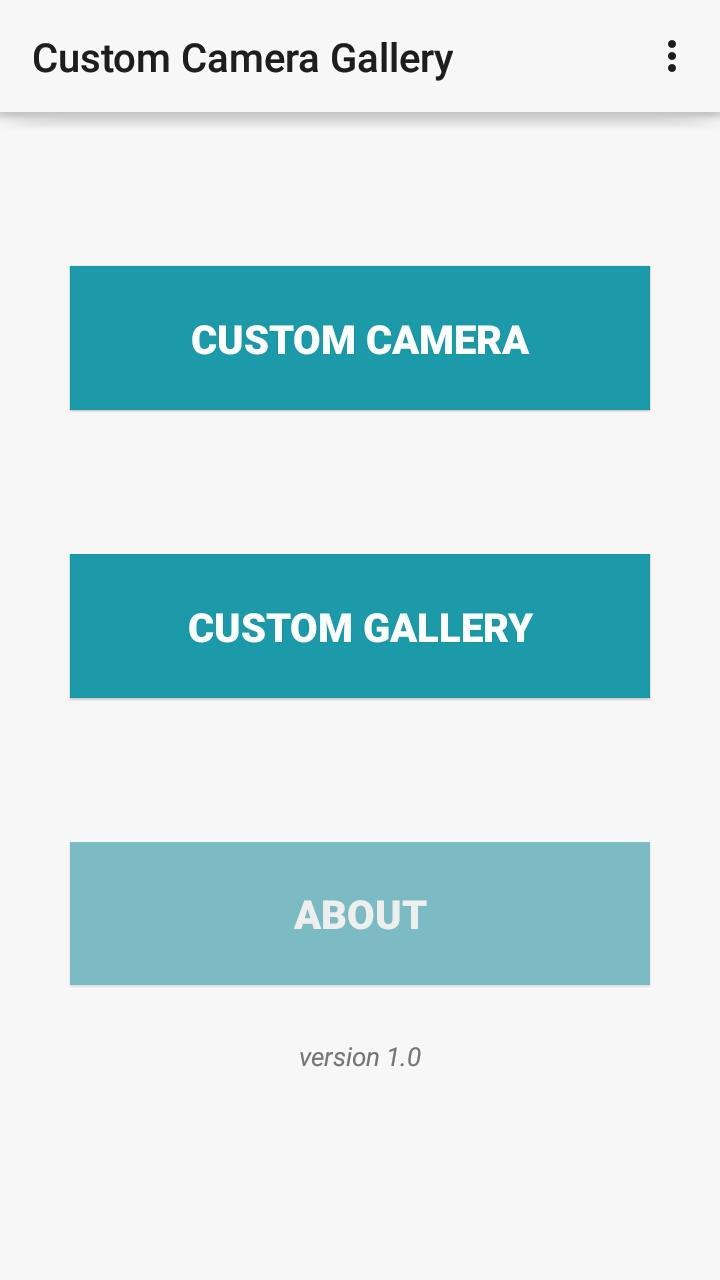 Custom Camera Gallery