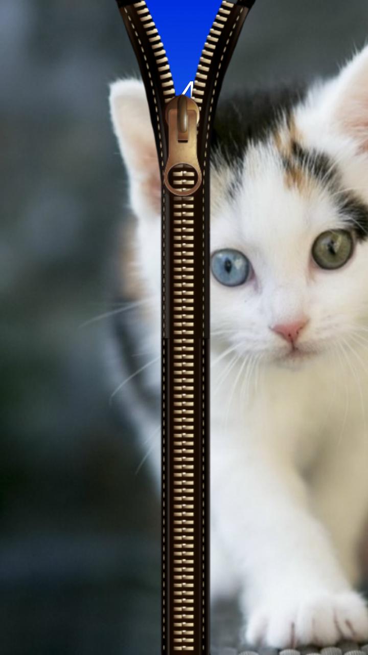 Cat Zipper Screen Lock