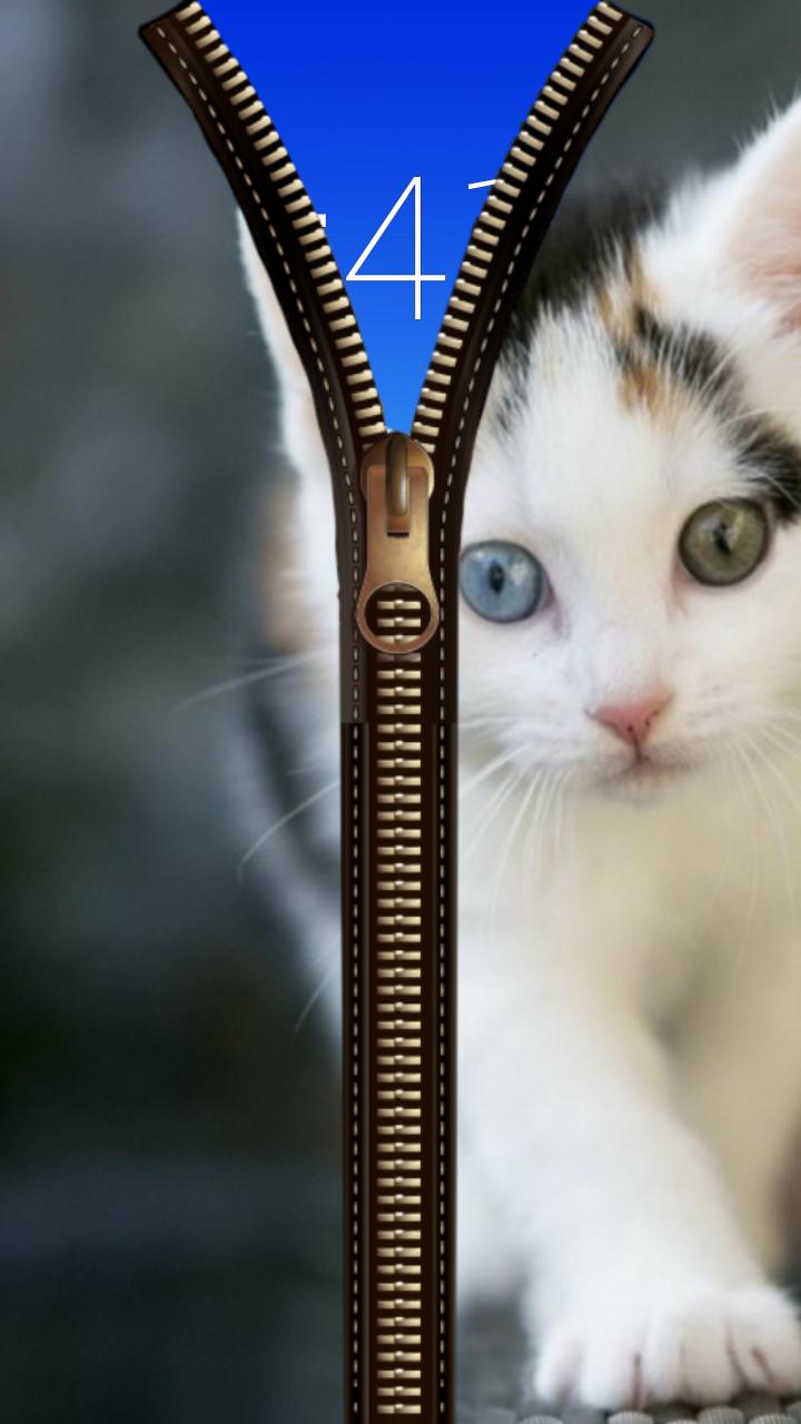 Cat Zipper Screen Lock