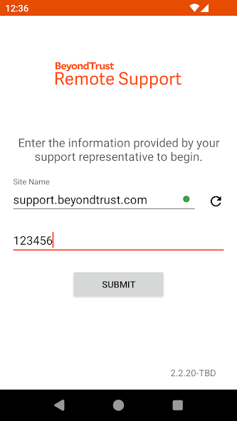 BeyondTrust Support