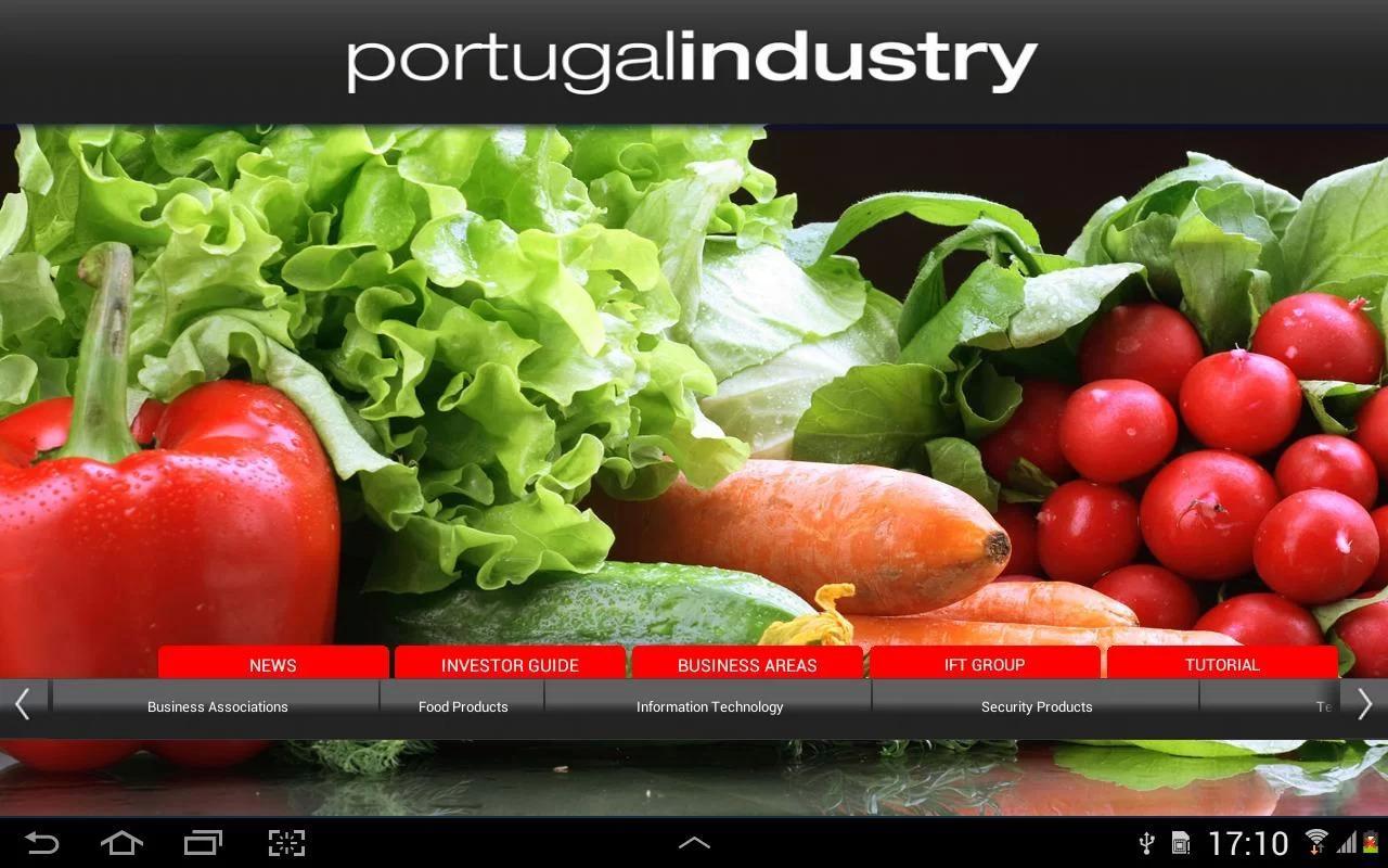 Portugal Industry