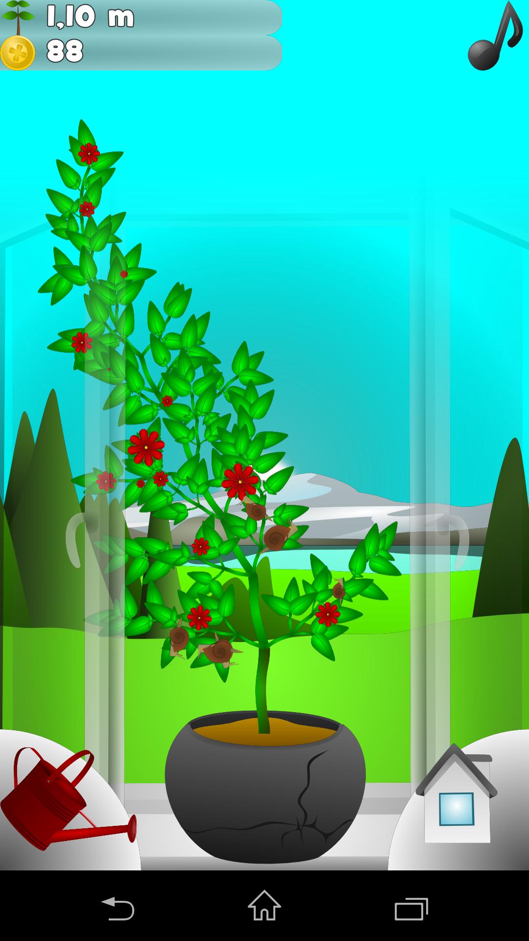 My Plant