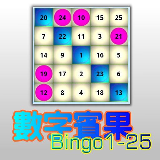 Bingo 1-25