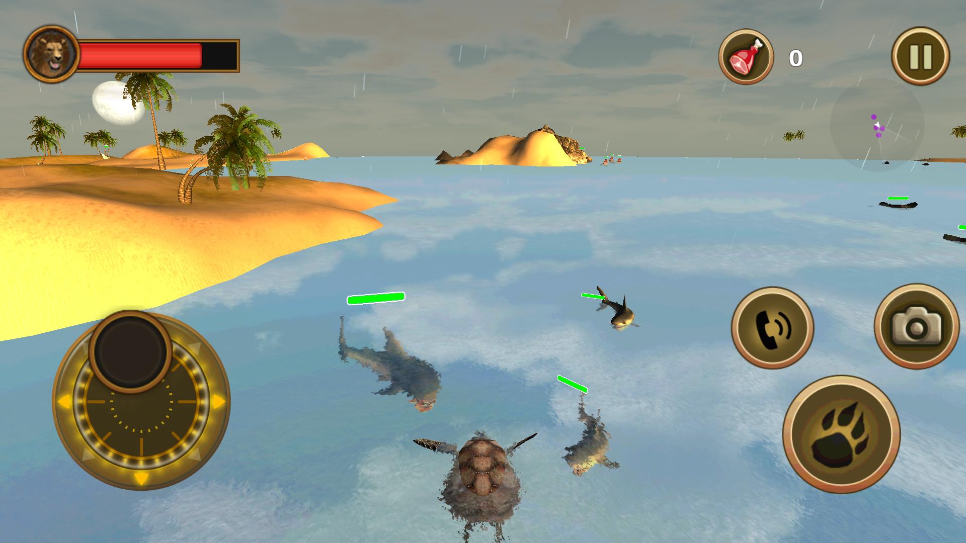 Sea Turtle Simulator