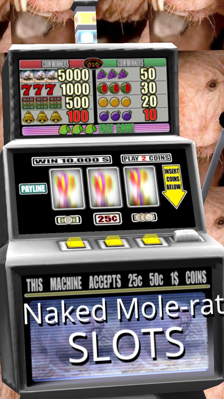 Naked Mole-rat Slots - Free