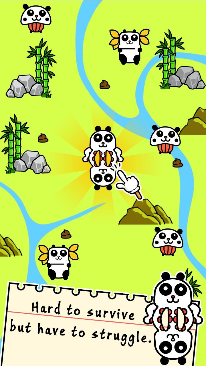 Panda Evolution