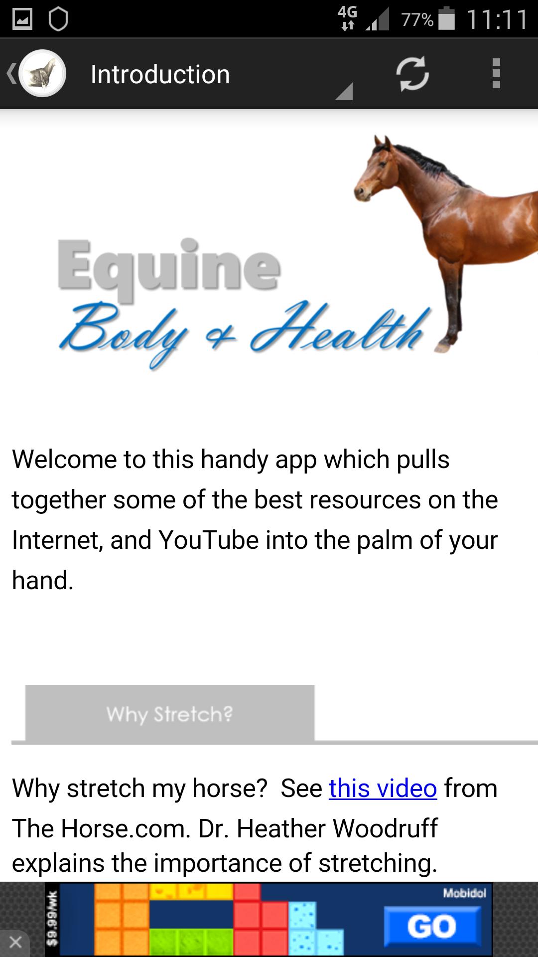 Equine Body and Health