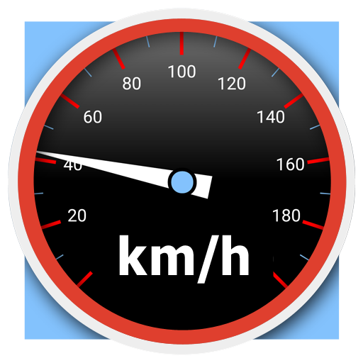 Speedometer with odometer