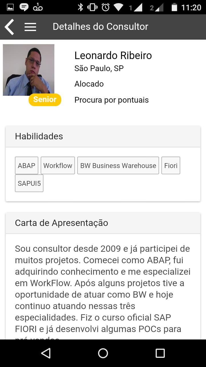 SAP Consultores