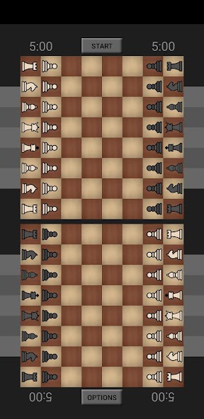 Bughouse Chess