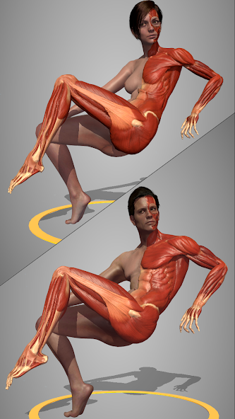 Action Anatomy Pro