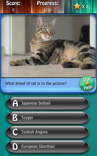 Kitty Cat Breeds Quiz HD