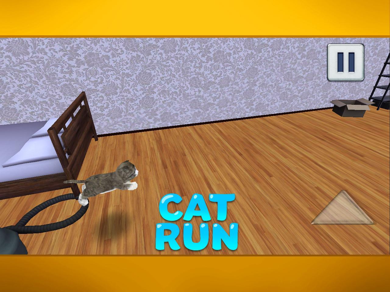 Cat Run