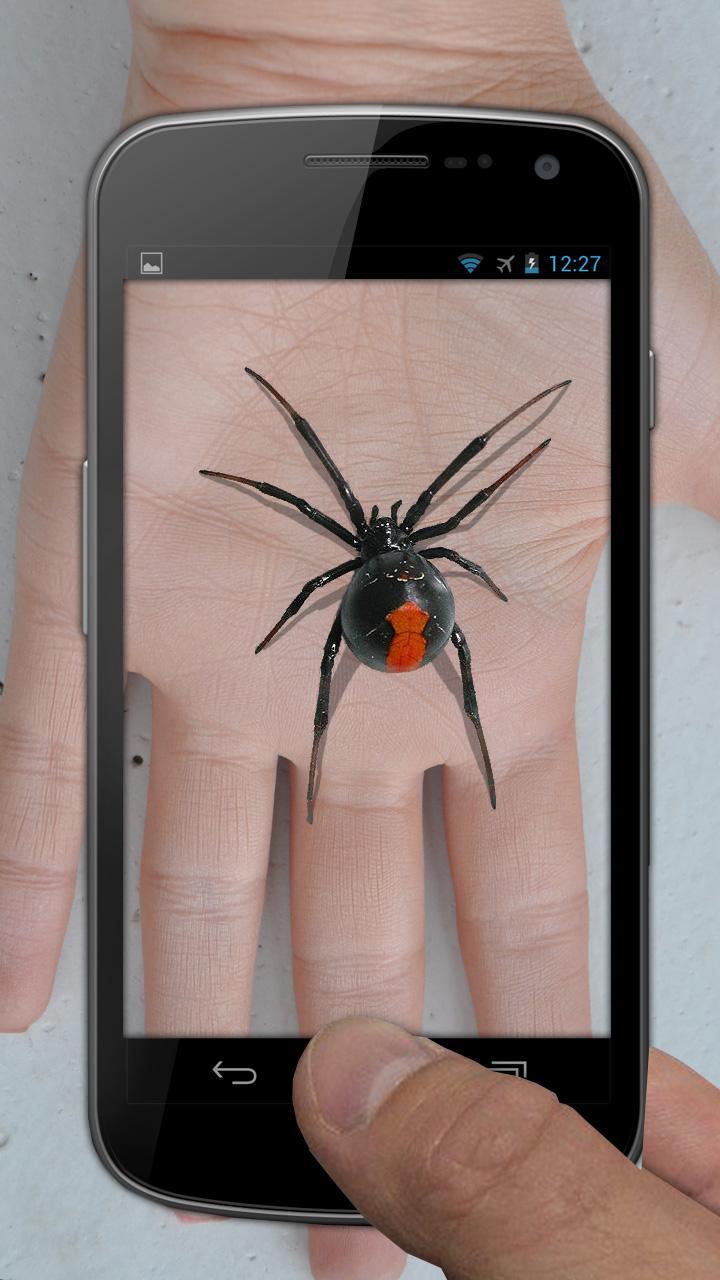 Spider Hand Funny Joke