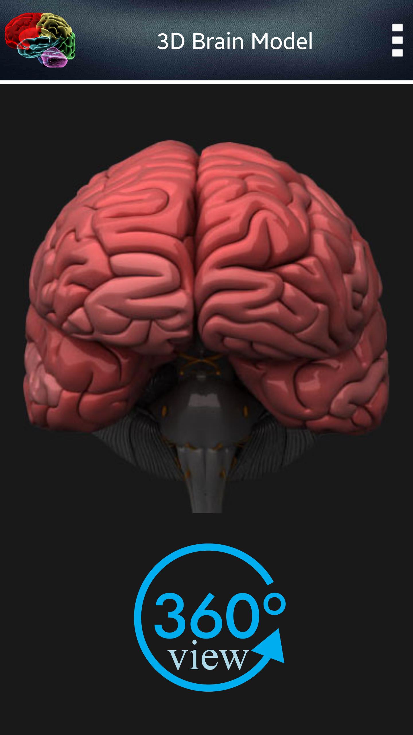 HUMAN BRAIN (PARTS-FUNCTIONS)