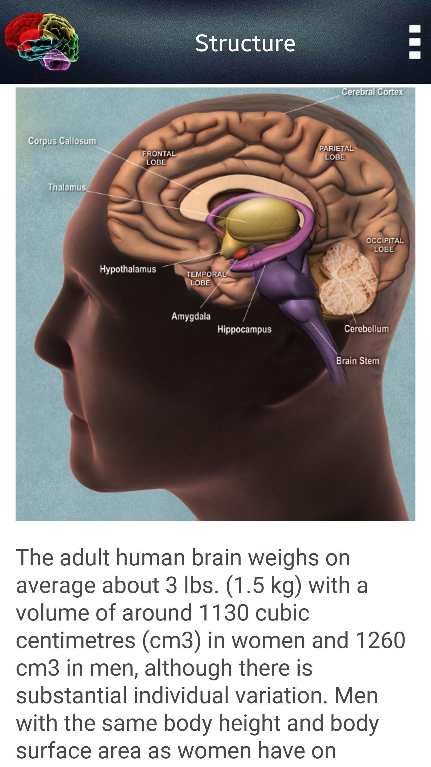 HUMAN BRAIN (PARTS-FUNCTIONS)