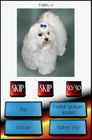 Dog Breed Picture Quiz