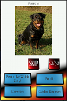 Dog Breed Picture Quiz