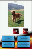 Dog Breed Picture Quiz