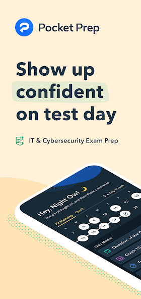 IT & Cybersecurity Pocket Prep