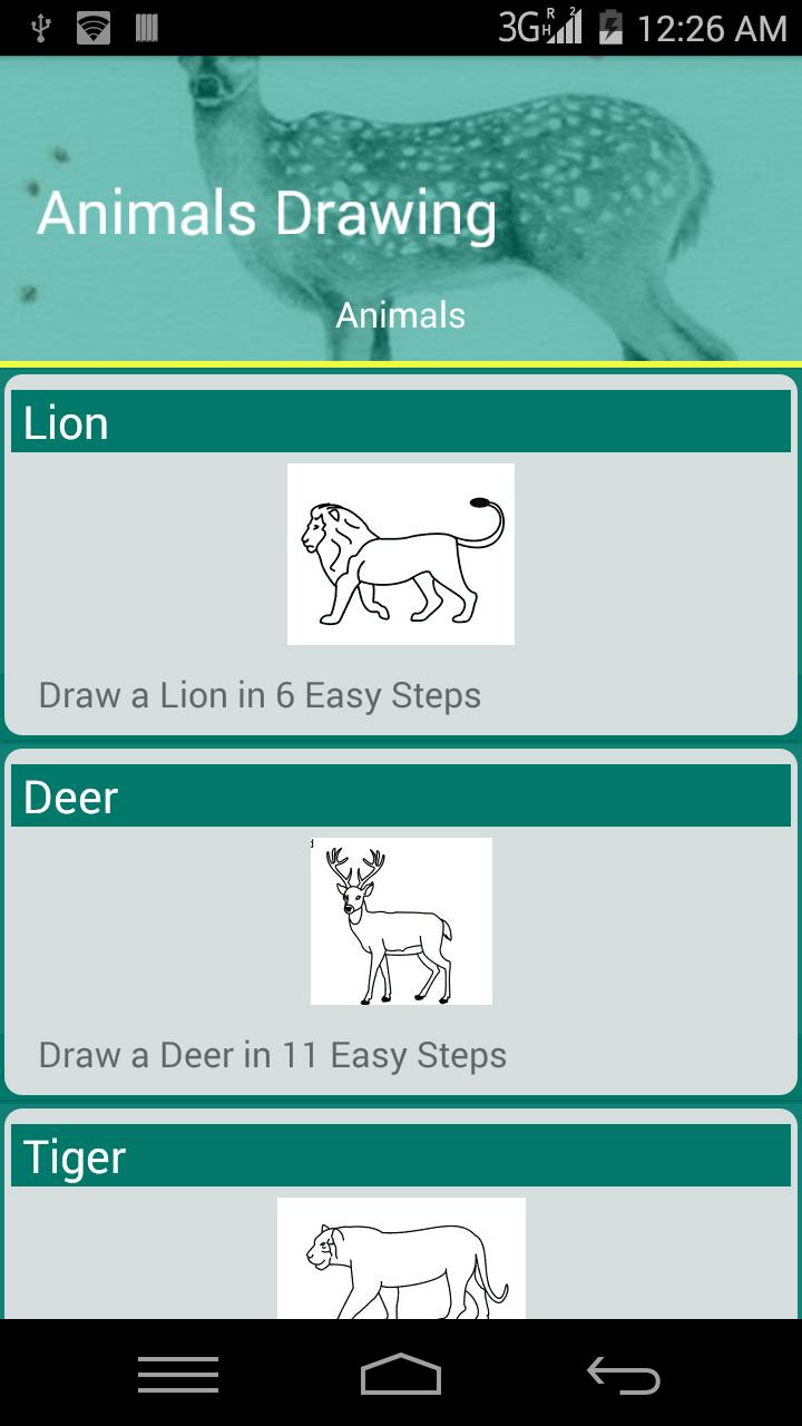 Animals Drawing