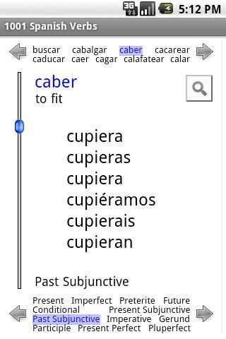 1001 Spanish Verbs