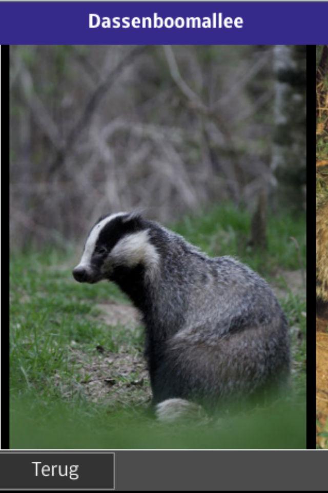 Natuurmonumenten Bergherbos