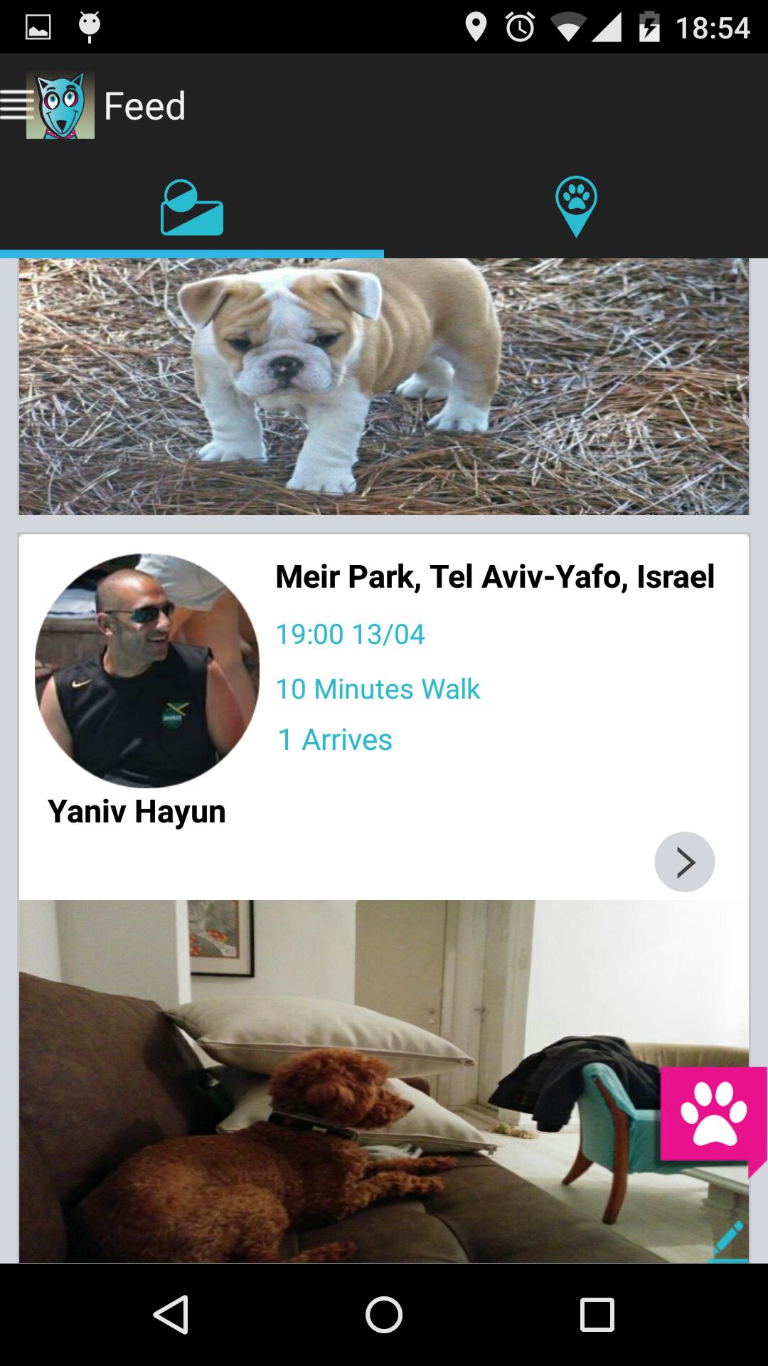 Barking Friends