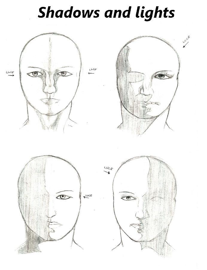 Sketches of anatomy
