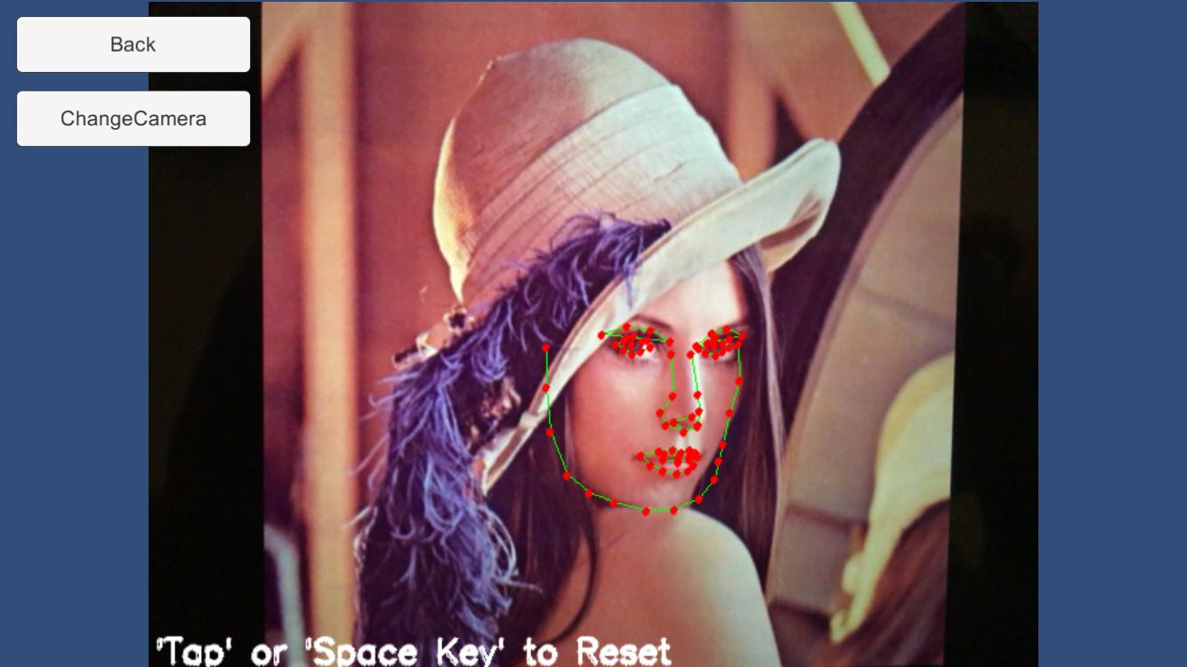 FaceTracker Example