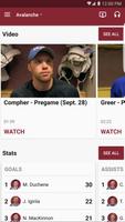 Colorado Avalanche Official