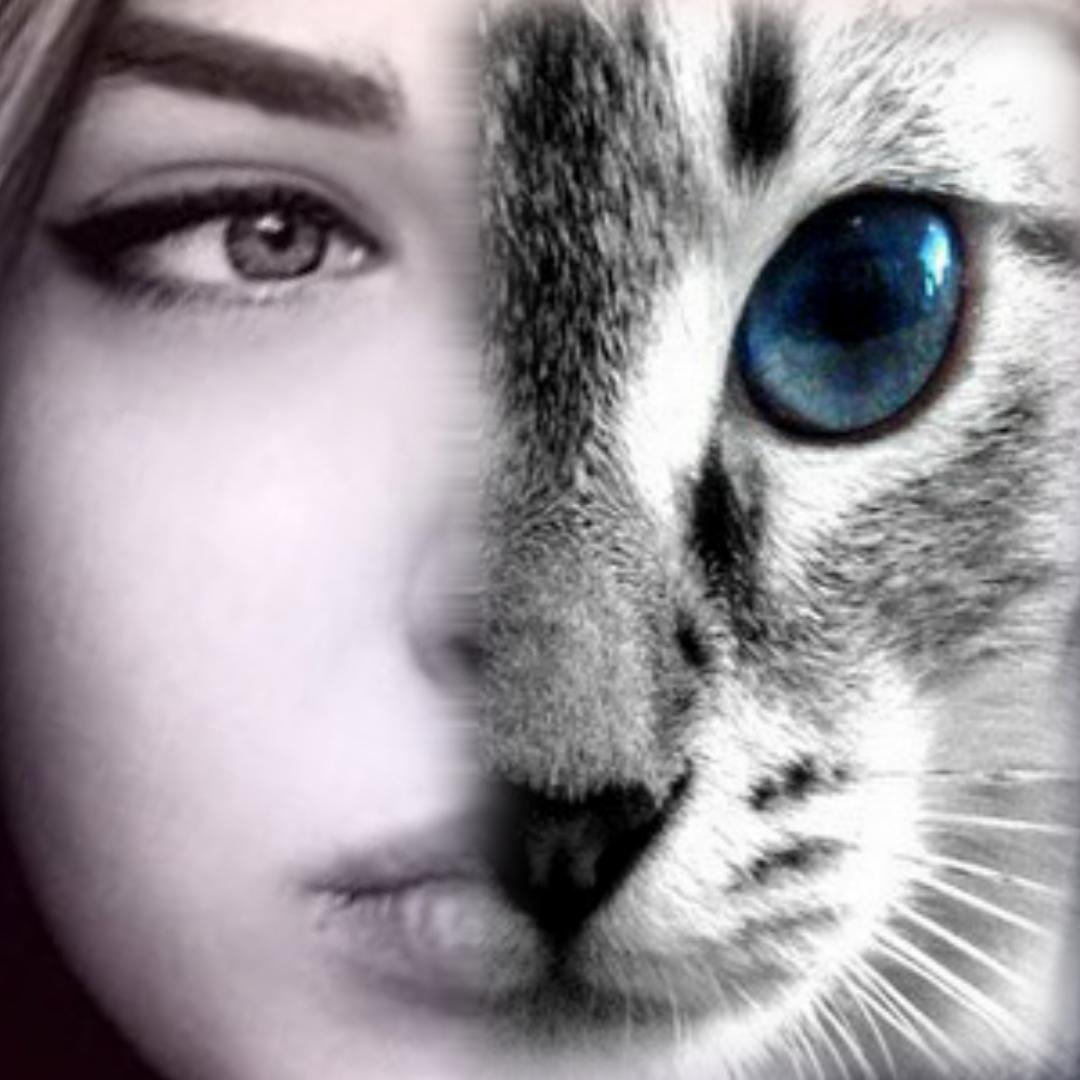 Animal Face Simulator