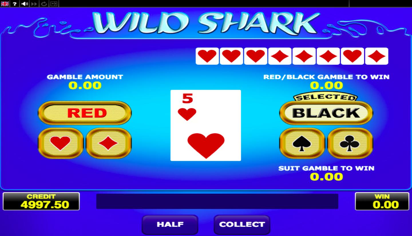 Wild Shark