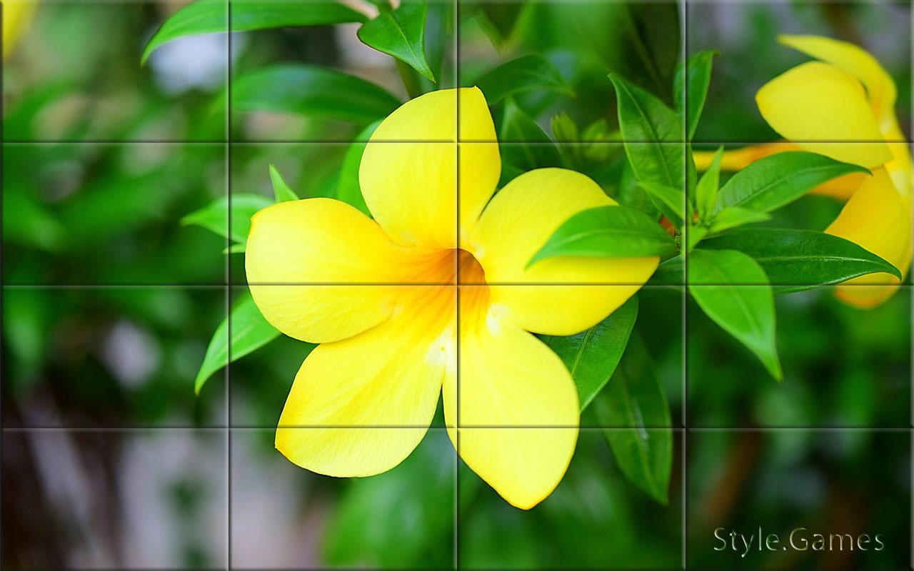 Wonderful Flowers Puzzle