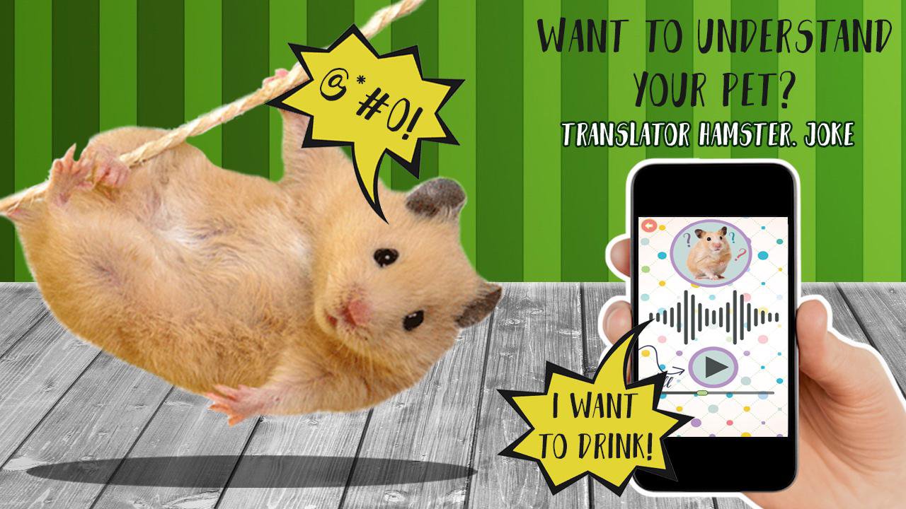 Translator Hamster. Joke