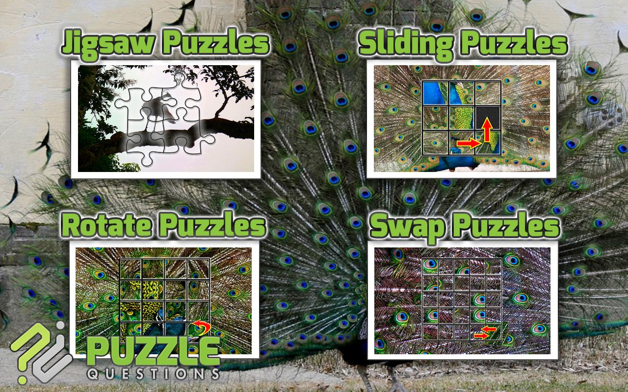 Free Peacock Puzzle Games