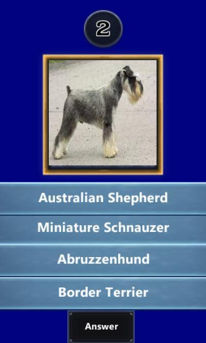 Quizup the Dog breed