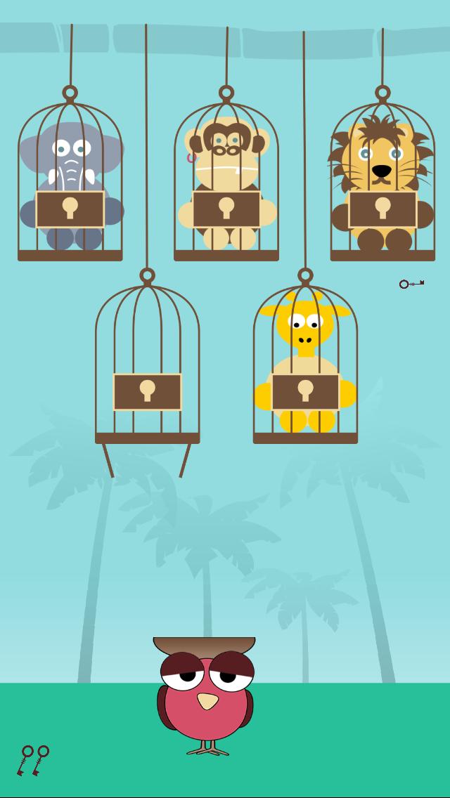 Rainforest Animals: Jackanapes