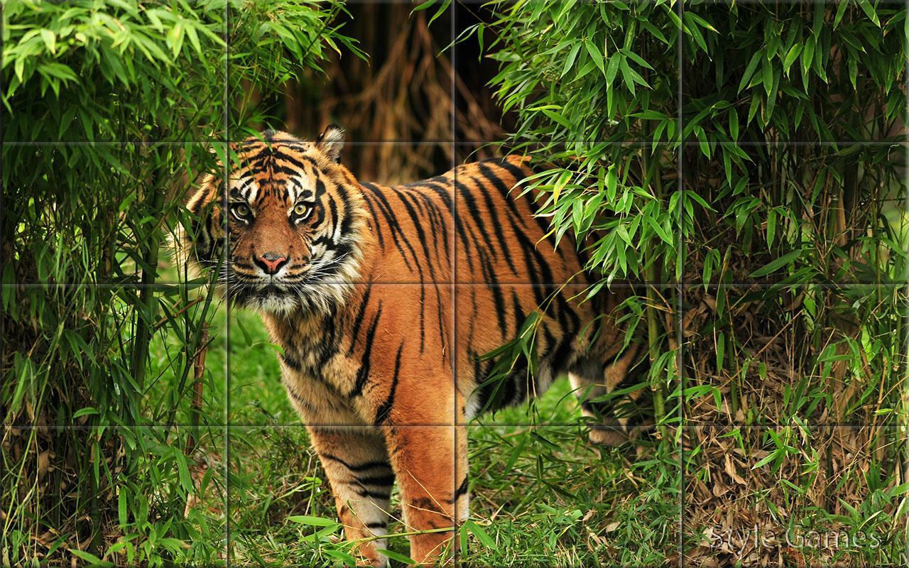 Wildlife Puzzle